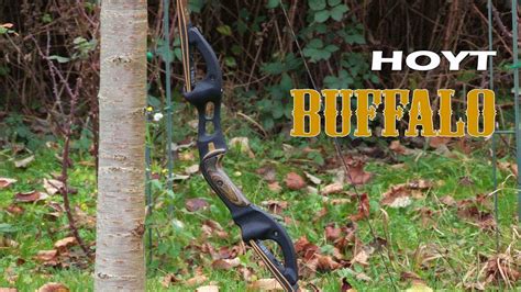 Hoyt Buffalo | traditional archery - YouTube