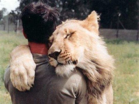 Animals hugging humans to cheer up your day (22 Photos) - The Dodo