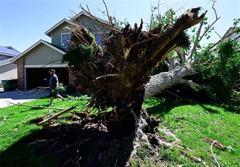 Drop-off locations for storm debris as cleanup in Highlands Ranch continues