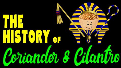 The History of Coriander & Cilantro / Coriander facts - YouTube