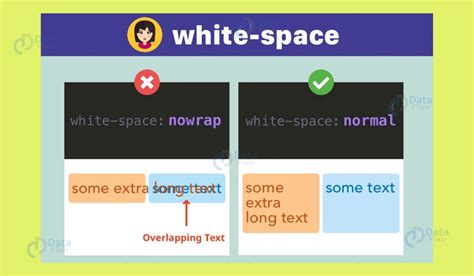 White Space in CSS - DataFlair