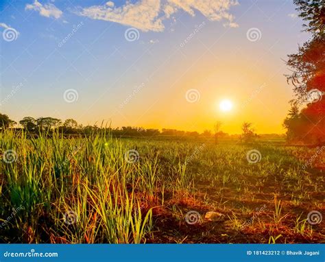 During Sunset. Beautiful Natural Landscape in the Summer Time Stock Photo - Image of asia ...