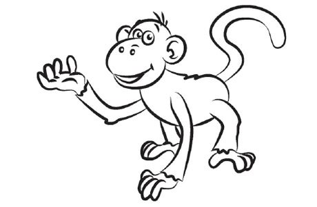 Free Monkey Drawing, Download Free Monkey Drawing png images, Free ...