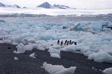 Free Images : glacier, iceberg, melting, tundra, freezing, arctic ocean, glacial landform, ice ...