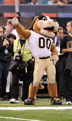 New Orleans Saints Mascot Gumbo Performs Editorial Stock Photo - Stock Image | Shutterstock