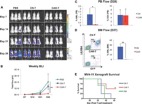 Figure 4 from A Novel Anti-LILRB4 CAR-T Cell for the Treatment of Monocytic AML. | Semantic Scholar