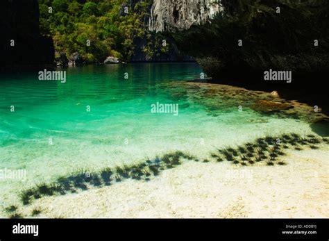 Philippines Luzon Palawan Province El Nido Town Bacuit Bay Miniloc ...