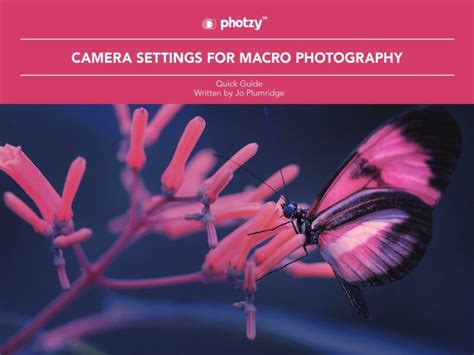 Camera Settings for Macro Photography - Free Quick Guide | Photzy