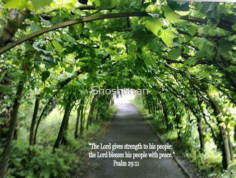 Bible Verse Nature: Posters | Redbubble