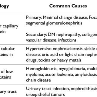 (PDF) Proteinuria: A Guide to Diagnosis and Assessment