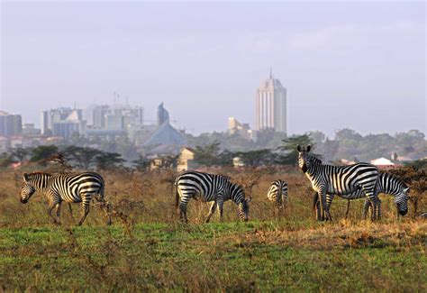 Wish You Were Here: Nairobi