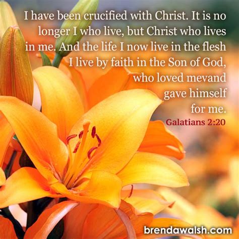 Christ in Me - Brenda Walsh Scripture Images