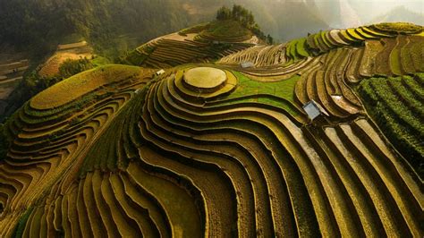 Mu Cang Chai rice terraces - backiee