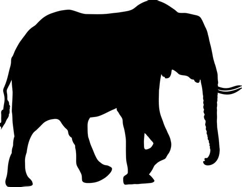 African elephant Silhouette Bear Clip art - elephany png download - 2444*1890 - Free Transparent ...