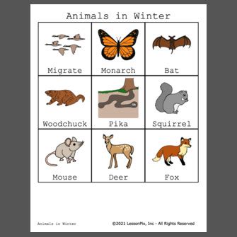 List Of Animals That Migrate