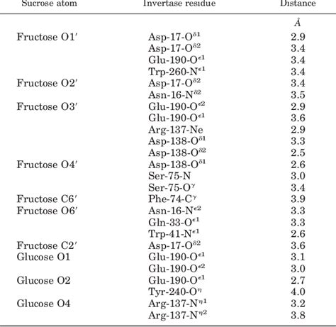 Figure 3 from The Three-dimensional Structure of Invertase (β-Fructosidase) from Thermotoga ...