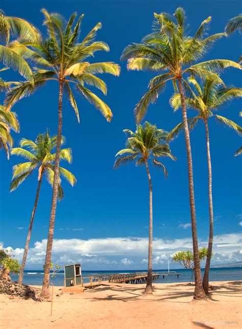 Why Lanai Island Should be your Next Destination! | Hawaiian Explorer