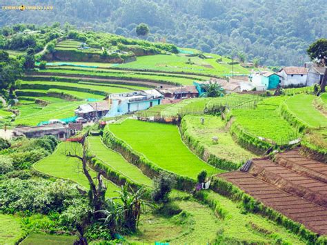 Kookal Village View Kodaikanal TrampTraveller