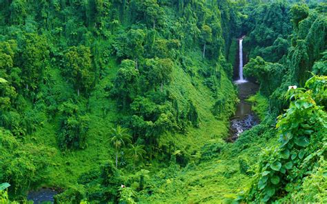 Jungle Waterfall Mac Wallpaper Download | AllMacWallpaper