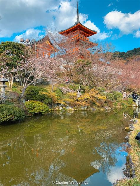 The 10 Best Cherry Blossom Locations In Kyoto - CHARLIES WANDERINGS in ...