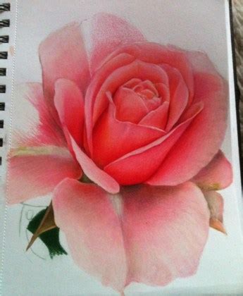 +22 Ejemplos de dibujos de flores que te inspirarán – Arte Feed