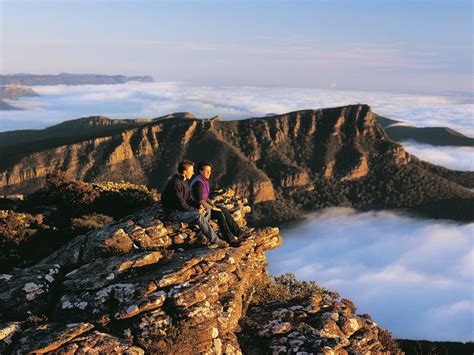 Discover Victoria’s National Parks: The Best Hikes in Victoria — Wallaby | Aussie canned water