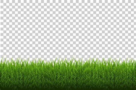 Premium Vector | Grass border