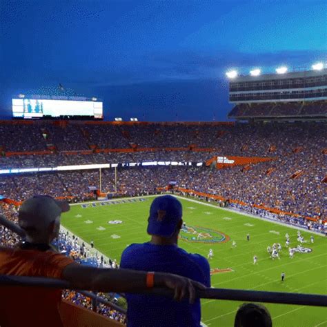 Happy College Football GIF by Florida Gators - Find & Share on GIPHY