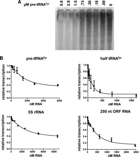 RNAs nonspecifically inhibit RNA polymerase II by preventing binding to the DNA template