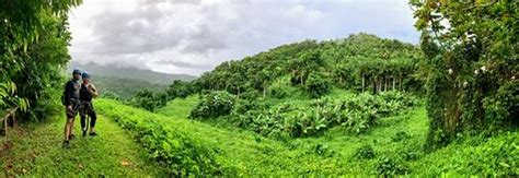 Yunque Ziplining (Luquillo) - 2020 All You Need to Know BEFORE You Go ...