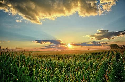 Iowa Corn Fields Photograph by Bonfire Photography - Fine Art America