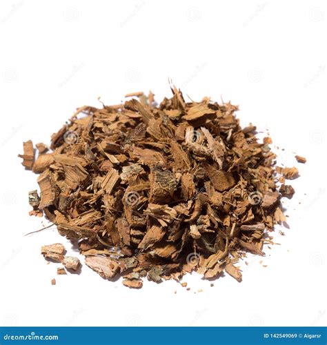 Oak bark tea stock image. Image of bark, drug, brown - 142549069