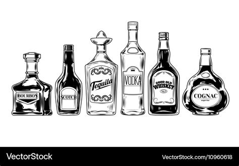 Set of bottles for alcohol Royalty Free Vector Image