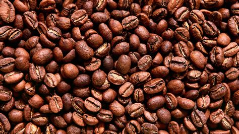 The Coffee Lingo You Need to Find Your New Favorite Beans | Epicurious