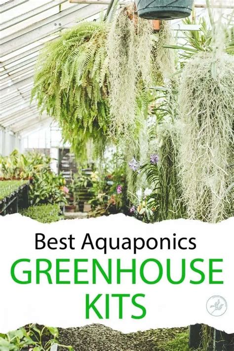 6 Best Aquaponics Greenhouse Kits in 2024