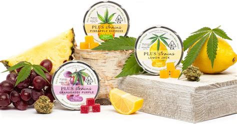 PLUS introduces cannabis-infused edibles with strain-specific gummies - GEEKSPIN