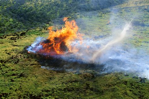 Aerial of tornado that formed from smoke of enormous tree branch fire; Maui, Hawaii 무료 사진 다운로드 ...