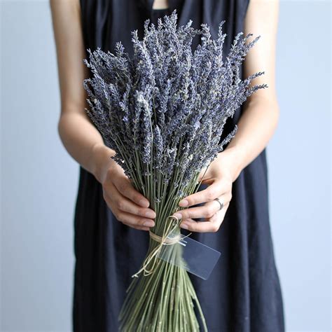 100/200 Sticks Dry Lavender Bouquetdried Natural Lavender - Etsy