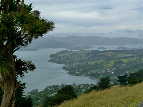 THE SOUTH ISLAND 2 – Dunedin – My Home on the Roam