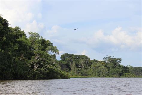 Yasuni villagers fear for way of life | CNN