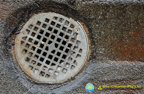 Sewage Backup: Common Causes & Prevention Tips | Bio-Cleanse Pty Ltd