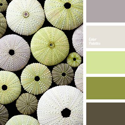 shades of olive green | Color Palette Ideas