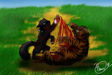 Scourge - Tigerstar's Death by hikari2314 on DeviantArt