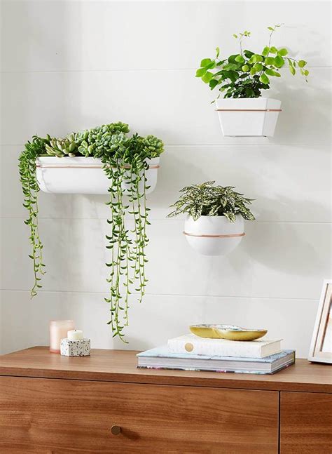 AmazonBasics Wall Planter, Round - White Copper (3-Pack) - Living in a shoebox