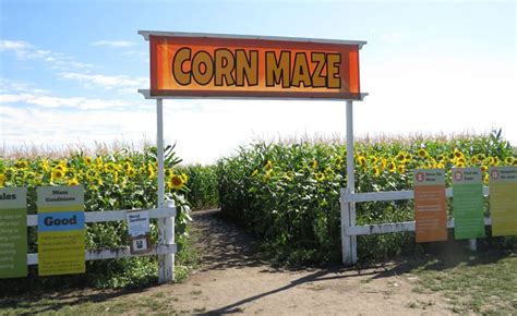 Get Lost at the Edmonton Corn Maze | Family Fun Edmonton