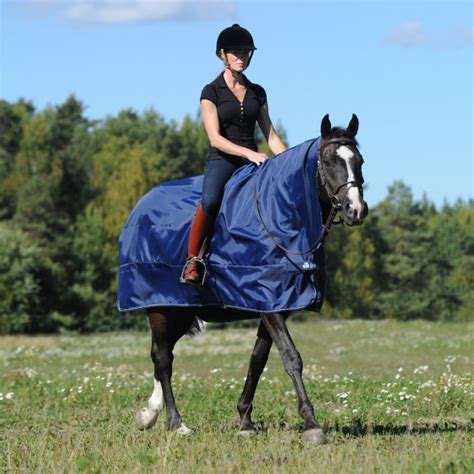 Horse Rain Sheets - Home Design Ideas