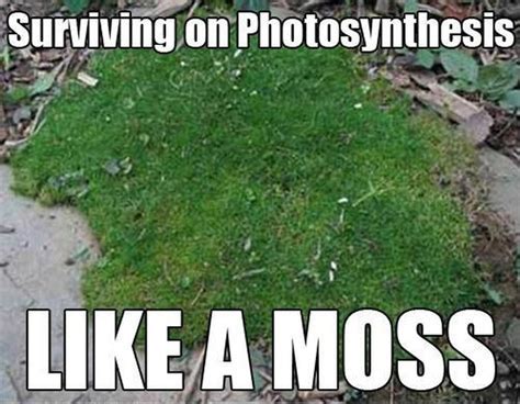 10 memes only a biologist should get, but you will too