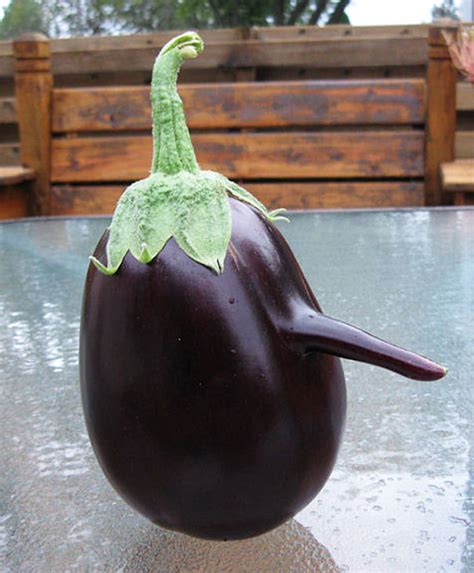 16 Funny-Shaped Fruits And Vegetables That Forgot How To Be Plants ...