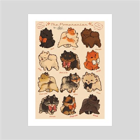 Pomeranian Coat Colors Art Board Print | ubicaciondepersonas.cdmx.gob.mx