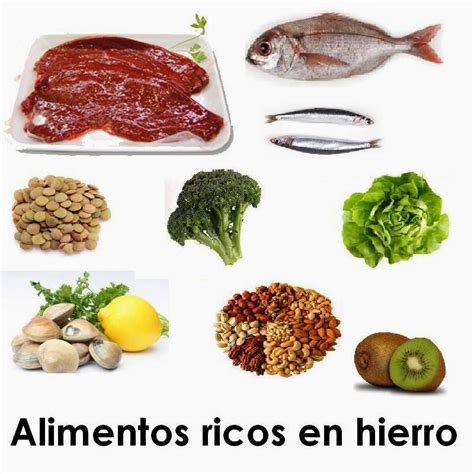 Arriba 96+ Foto Alimentos Que Contienen Hierro Y Calcio Actualizar